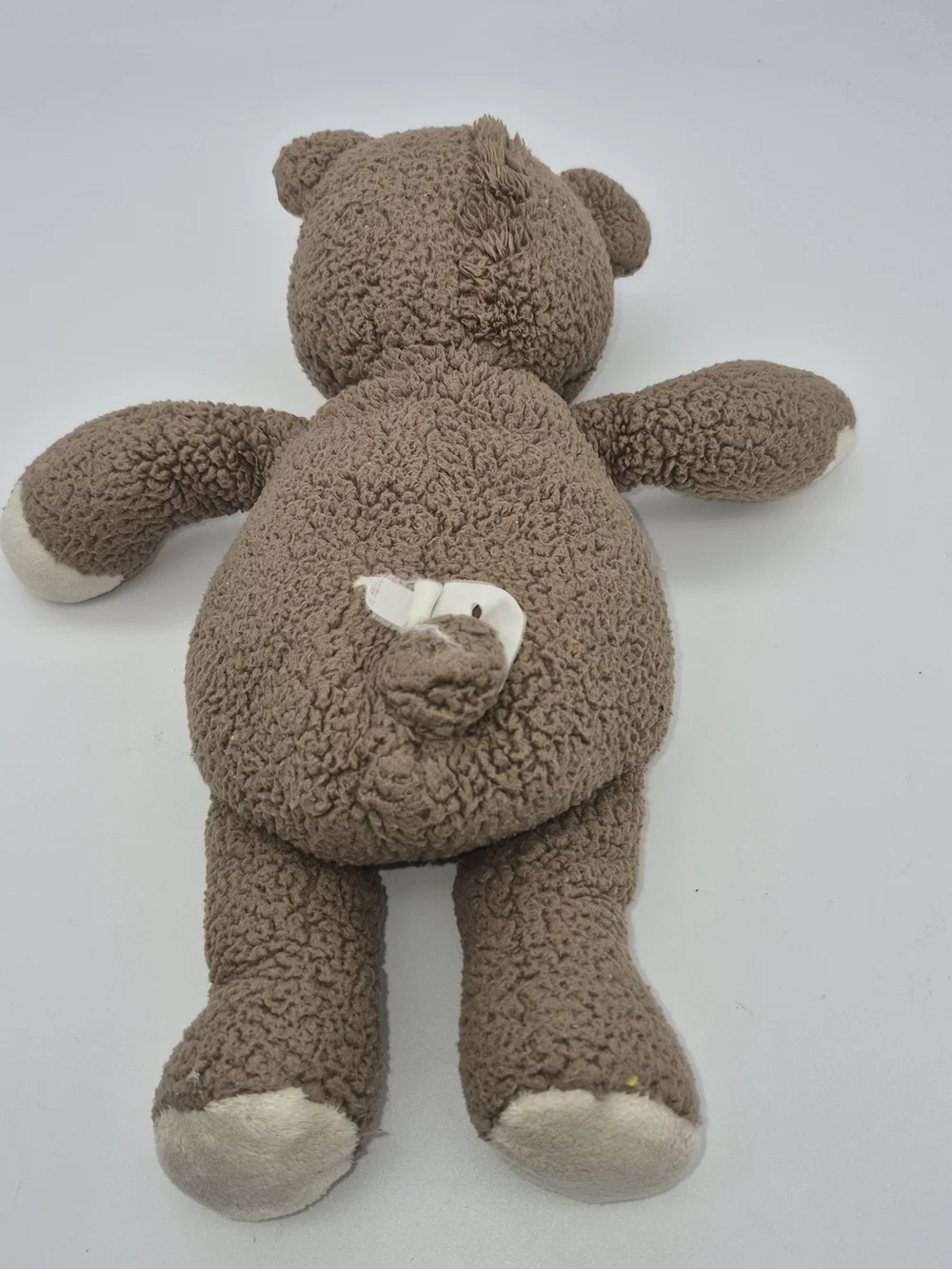 PBK Pottery Barn Plush Brown Teddy Bear with Cream Accents - Soft Cuddle Toy